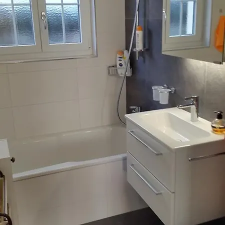 Apartmán Wandelgruen Lenk